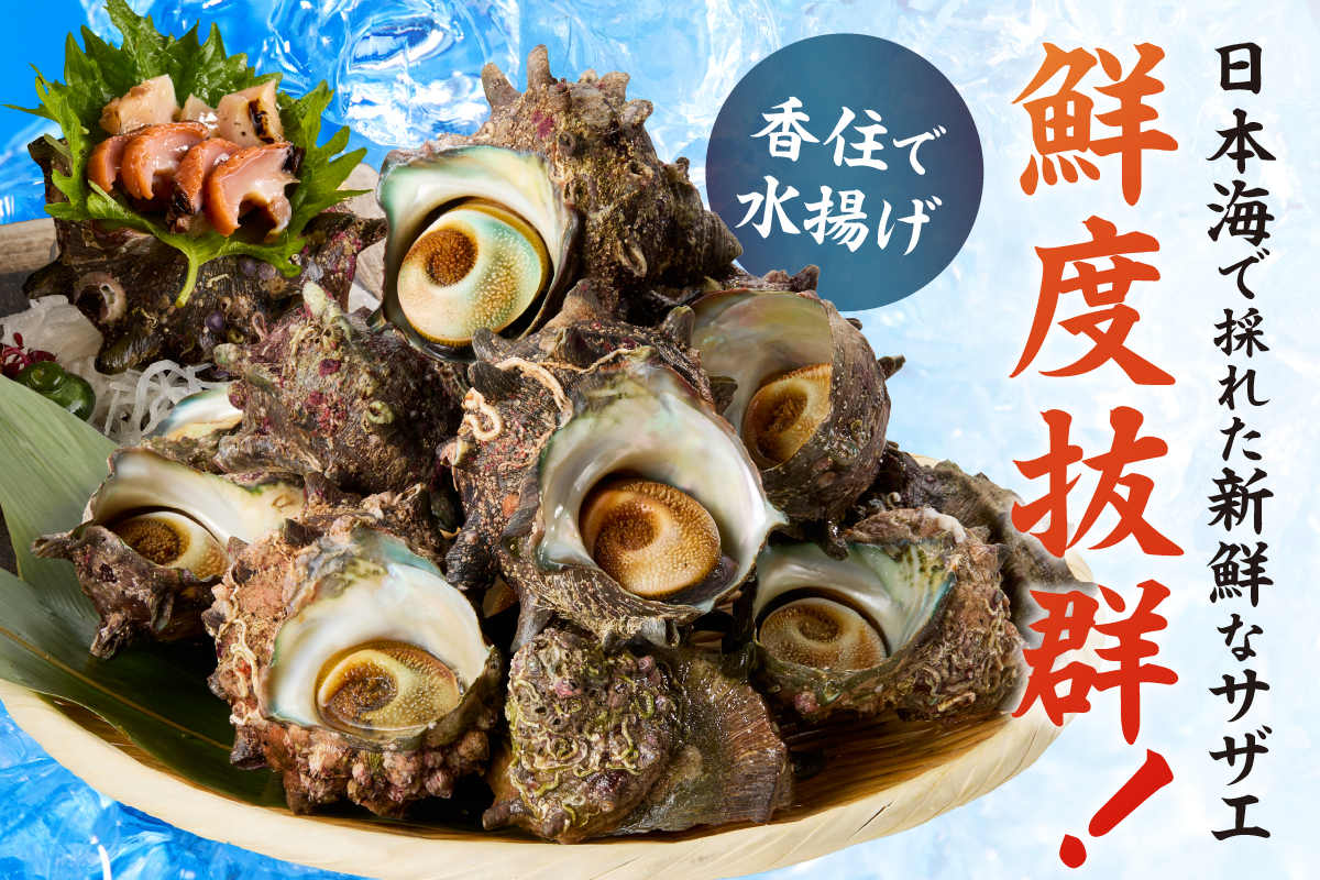 縲仙オ蠎ォ逵碁ヲ吩ス冗肇 螟ゥ辟カ 豢サ 繧オ繧カ繧ィ 2kgシ14ス20蛟具シ牙キ阡オ縲鷹ヲ吩ス上〒豌エ謠壹£縺輔l縺滓眠魄ョ縺ェ繧オ繧カ繧ィ繧偵♀螻翫¢ 縺、縺シ辟シ縺 轤翫″霎シ縺ソ縺秘」ッ 繧オ繧カ繧ィ鬟ッ 驟偵ョ閧エ 逎ッ縺ョ鬥吶j 鬚ィ蜻ウ雎翫° 縺輔*縺 譁ー魄ョ 螟ゥ辟カ 豬キ魄ョ 螟ァ莠コ豌 螟丈シ代∩ BBQ 繝舌シ繝吶く繝・繝シ 繧ュ繝」繝ウ繝 縺顔寔 豬キ 譌・譛ャ豬キ 蜈オ蠎ォ逵 鬥咏セ守伴 鬥吩ス 譟エ螻ア 螳ソ髯「蝠蠎 33-20