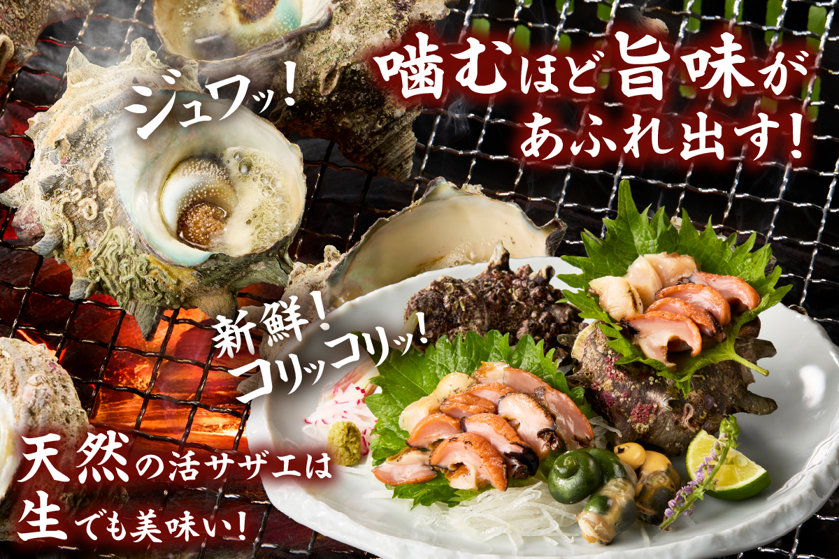 縲仙オ蠎ォ逵碁ヲ吩ス冗肇 螟ゥ辟カ 豢サ 繧オ繧カ繧ィ 2kgシ14ス20蛟具シ牙キ阡オ縲鷹ヲ吩ス上〒豌エ謠壹£縺輔l縺滓眠魄ョ縺ェ繧オ繧カ繧ィ繧偵♀螻翫¢ 縺、縺シ辟シ縺 轤翫″霎シ縺ソ縺秘」ッ 繧オ繧カ繧ィ鬟ッ 驟偵ョ閧エ 逎ッ縺ョ鬥吶j 鬚ィ蜻ウ雎翫° 縺輔*縺 譁ー魄ョ 螟ゥ辟カ 豬キ魄ョ 螟ァ莠コ豌 螟丈シ代∩ BBQ 繝舌シ繝吶く繝・繝シ 繧ュ繝」繝ウ繝 縺顔寔 豬キ 譌・譛ャ豬キ 蜈オ蠎ォ逵 鬥咏セ守伴 鬥吩ス 譟エ螻ア 螳ソ髯「蝠蠎 33-20