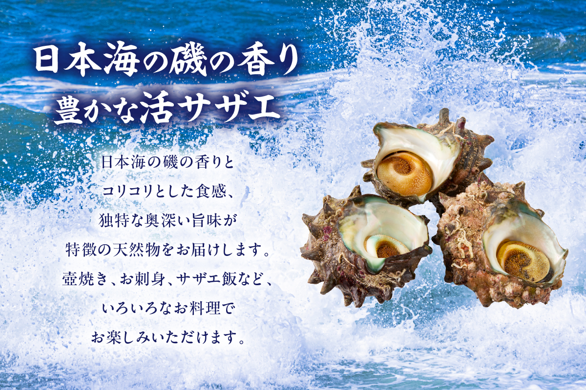 縲仙オ蠎ォ逵碁ヲ吩ス冗肇 螟ゥ辟カ 豢サ 繧オ繧カ繧ィ 2kgシ14ス20蛟具シ牙キ阡オ縲鷹ヲ吩ス上〒豌エ謠壹£縺輔l縺滓眠魄ョ縺ェ繧オ繧カ繧ィ繧偵♀螻翫¢ 縺、縺シ辟シ縺 轤翫″霎シ縺ソ縺秘」ッ 繧オ繧カ繧ィ鬟ッ 驟偵ョ閧エ 逎ッ縺ョ鬥吶j 鬚ィ蜻ウ雎翫° 縺輔*縺 譁ー魄ョ 螟ゥ辟カ 豬キ魄ョ 螟ァ莠コ豌 螟丈シ代∩ BBQ 繝舌シ繝吶く繝・繝シ 繧ュ繝」繝ウ繝 縺顔寔 豬キ 譌・譛ャ豬キ 蜈オ蠎ォ逵 鬥咏セ守伴 鬥吩ス 譟エ螻ア 螳ソ髯「蝠蠎 33-20