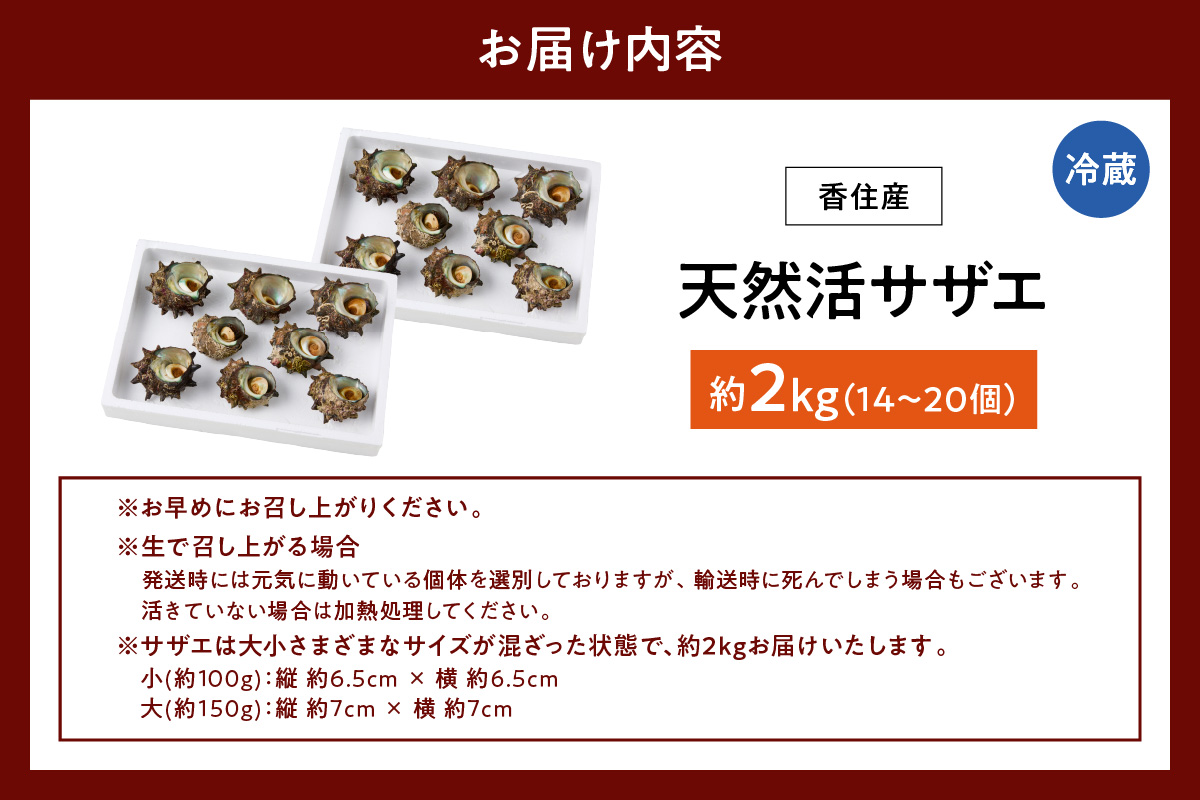 縲仙オ蠎ォ逵碁ヲ吩ス冗肇 螟ゥ辟カ 豢サ 繧オ繧カ繧ィ 2kg 蜀キ阡オ縲 譌・譛ャ豬キ 鬥吩ス 譟エ螻ア 貍∵クッ 豌エ謠壹£ 蝗ス逕」 縺輔*縺 譁ー魄ョ 縺、縺シ辟シ縺 轤翫″霎シ縺ソ縺秘」ッ 繧オ繧カ繧ィ鬟ッ 縺企 縺贋セ 閧エ 繧「繝 縺ゅ※ 逎ッ 鬥吶j 鬚ィ蜻ウ雎翫° 豬キ魄ョ 螟丈シ代∩ BBQ 繝舌シ繝吶く繝・繝シ 繧ュ繝」繝ウ繝 縺顔寔 豬キ 螟ァ莠コ豌 縺オ繧九&縺ィ邏咲ィ 縺翫☆縺吶a 霑皮、シ蜩 蜈オ蠎ォ逵 鬥咏セ守伴 螳ソ髯「蝠蠎 33-20