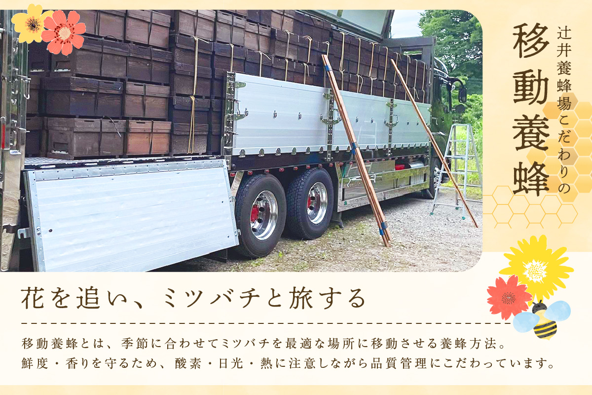 ãåœç£çŽç² ããããšã¯ã¡ã¿ã€ 500g ç¶ãåœç£ çŽç² ããããš ã¯ã¡ã¿ã€ ãããã èè æ ã®æš ãããã éŠã ãŸããã ãã³ ãšãŒã°ã«ã ãããã å
µåº«ç éŠçŸçº 蟻äºé€èå Ž 81-04