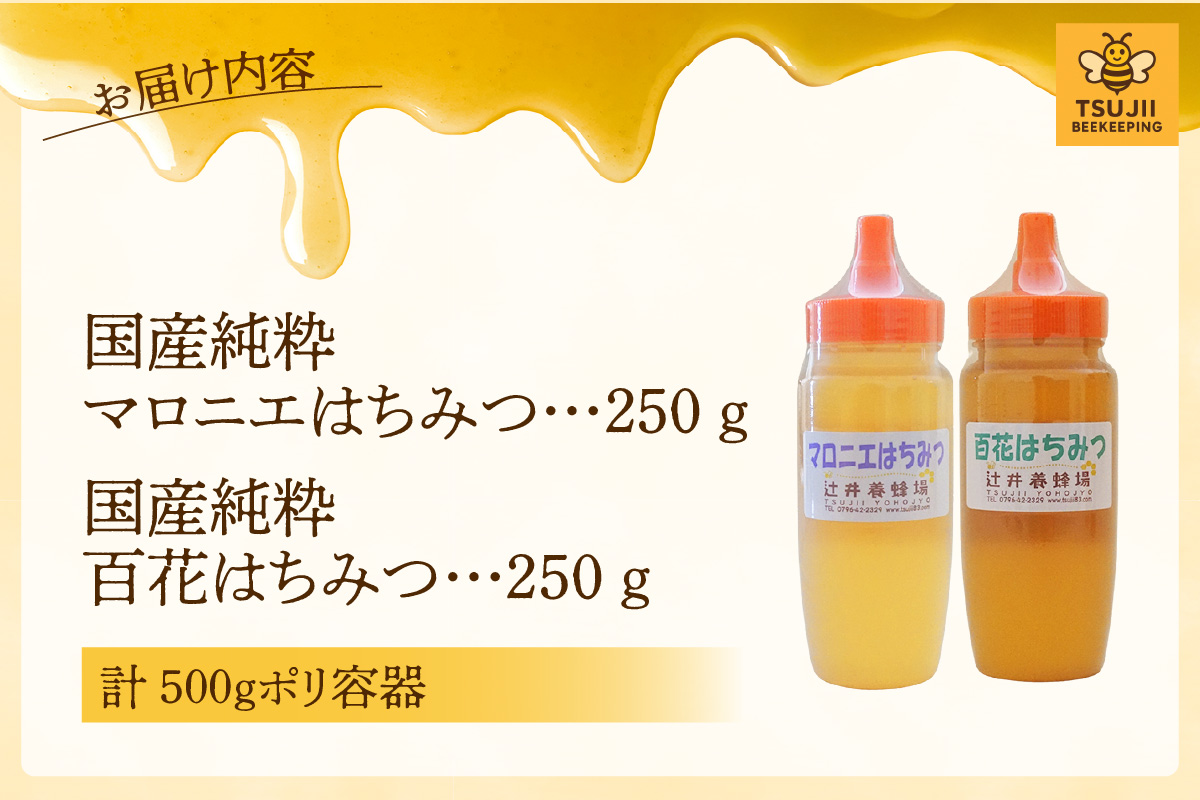 【国産純粋 マロニエはちみつ 百花はちみつ 各250g 計500g ポリ容器】国産 純粋 マロニエ 百花 はちみつ ハチミツ 蜂蜜 栃の木 紅茶 パン ヨーグルト おすすめ 兵庫県 香美町 辻井養蜂場 81-03