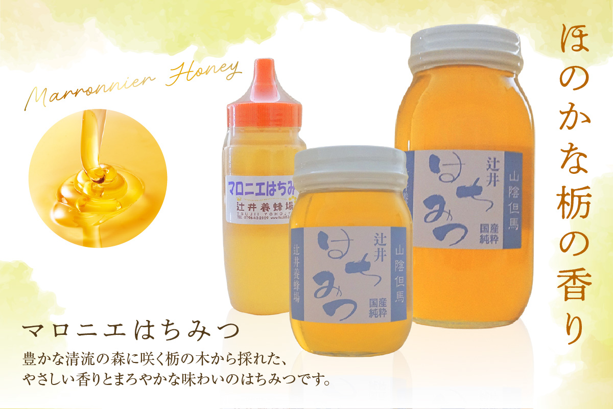 【国産純粋 マロニエはちみつ 百花はちみつ 各500g 計1kg 瓶】国産 純粋 マロニエ 百花 はちみつ ハチミツ 蜂蜜 栃の木 紅茶 パン ヨーグルト おすすめ 兵庫県 香美町 辻井養蜂場 81-06