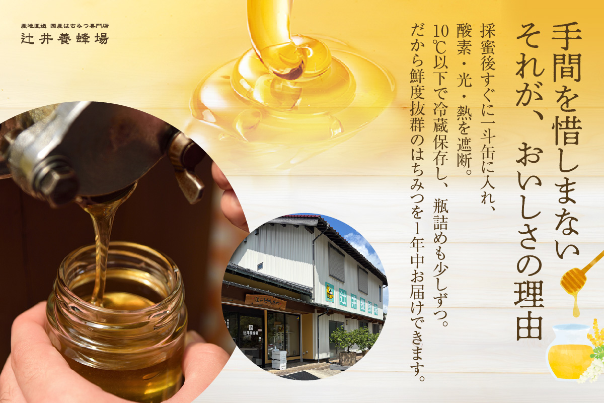 【国産純粋 マロニエはちみつ 百花はちみつ 各500g 計1kg 瓶】国産 純粋 マロニエ 百花 はちみつ ハチミツ 蜂蜜 栃の木 紅茶 パン ヨーグルト おすすめ 兵庫県 香美町 辻井養蜂場 81-06