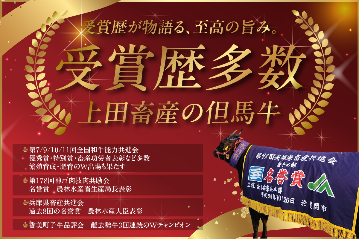 【但馬牛 究極の但馬牛 “但馬玄“ こま切れ肉1kg（500g×2パック）】冷凍 配送日指定不可 但馬玄 たじまぐろ あっさり 脂 最高級 但馬牛 和牛 牛肉 しゃぶしゃぶ すきやき すき焼き 焼肉 香美町 上田畜産 TJM 27000円 01-14