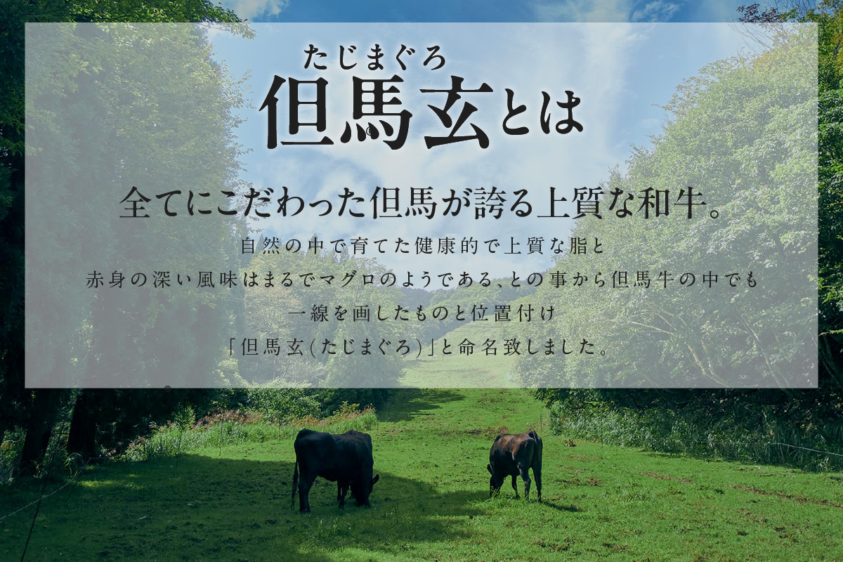 【但馬牛 究極の但馬牛 “但馬玄“ こま切れ肉1kg（500g×2パック）】冷凍 配送日指定不可 但馬玄 たじまぐろ あっさり 脂 最高級 但馬牛 和牛 牛肉 しゃぶしゃぶ すきやき すき焼き 焼肉 香美町 上田畜産 TJM 27000円 01-14