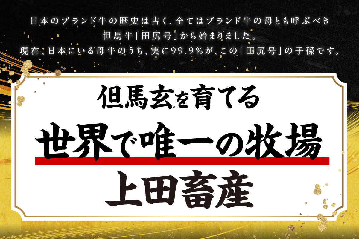 【但馬牛 究極の但馬牛 “但馬玄“ こま切れ肉500g（500g×1パック）】冷凍 配送日指定不可 但馬玄 たじまぐろ あっさり 脂 最高級 但馬牛 和牛 牛肉 しゃぶしゃぶ すきやき すき焼き 焼肉 香美町 上田畜産 TJM 14000円 01-15
