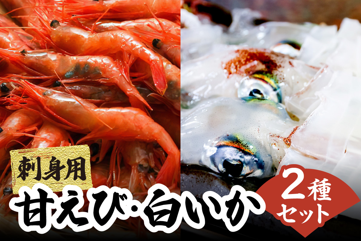 【兵庫県香住産 白いか 甘えび お刺身 セット 冷凍】【令和8年6月下旬以降発送予定】 白いか（剣先いか）5～8杯（約1kg）甘えび30～40尾前後（約700～800g） 鮮度抜群 急速冷凍 白イカ 甘エビ 刺身 セット 詰め合わせ 国産 産地直送 新鮮 海鮮 ふるさと納税 おすすめ 返礼品 兵庫県 香美町 香住 宿院商店 33-05