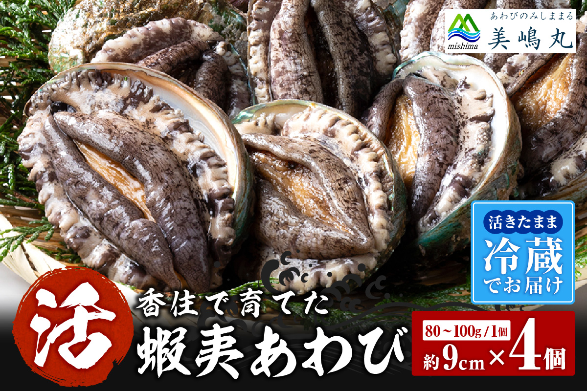 【冷蔵 活あわび 養殖 9cm×4枚 320～400g (1個80～100g）】満点青空レストラン うまい！おせち2023に採用されました！アワビ 鮑 活アワビ あわび 海鮮貝 魚介 お刺身 BBQ バター焼き 新鮮 日本海 養殖 昆布 レシピ入り 人気 テレビ 紹介 話題 高級 香美町 香住 山陰 美嶋丸  20-02 ☆