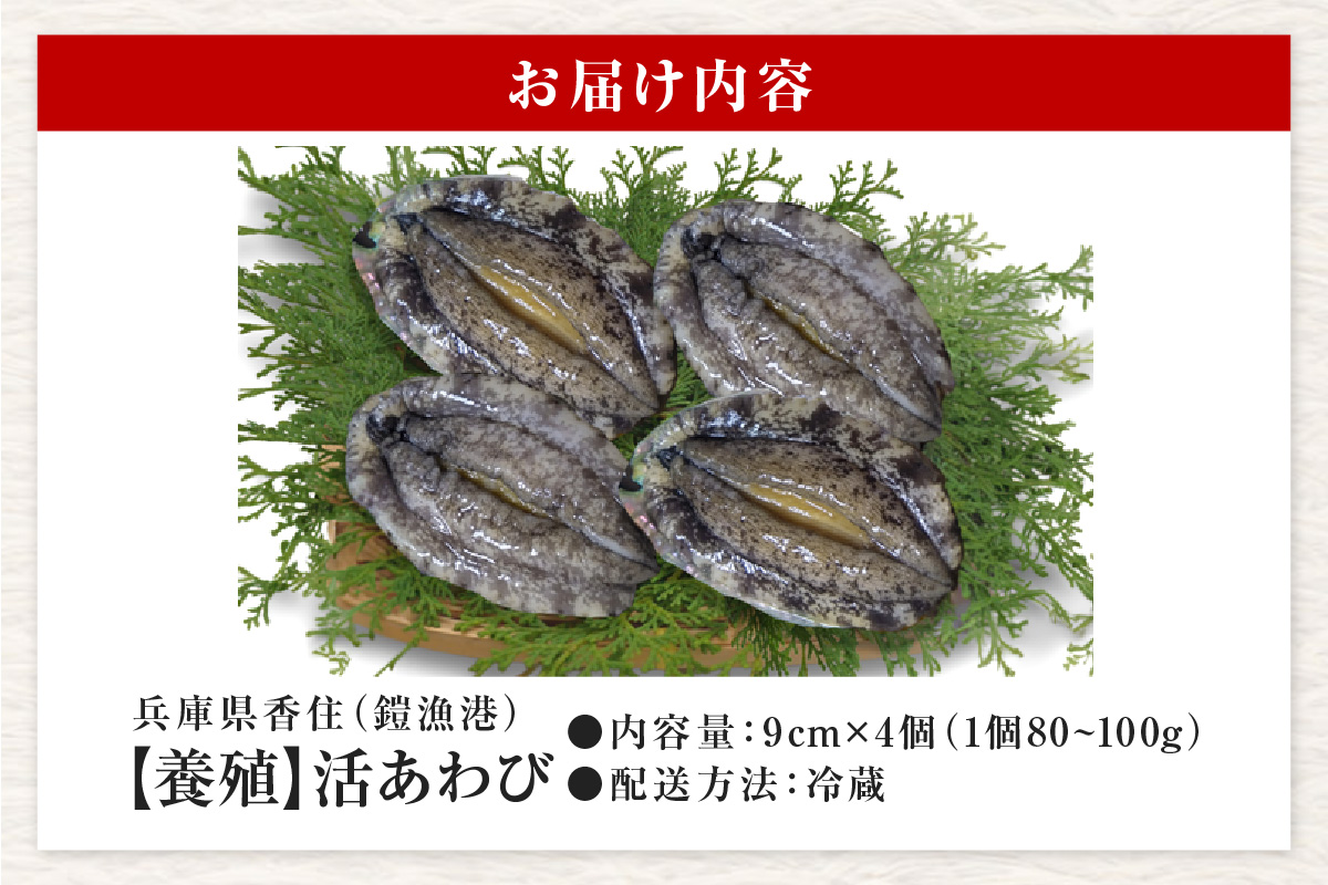 【冷蔵 活あわび 養殖 9cm×4枚 320～400g (1個80～100g）】満点青空レストラン うまい！おせち2023に採用されました！アワビ 鮑 活アワビ あわび 海鮮貝 魚介 お刺身 BBQ バター焼き 新鮮 日本海 養殖 昆布 レシピ入り 人気 テレビ 紹介 話題 高級 香美町 香住 山陰 美嶋丸  20-02 ☆