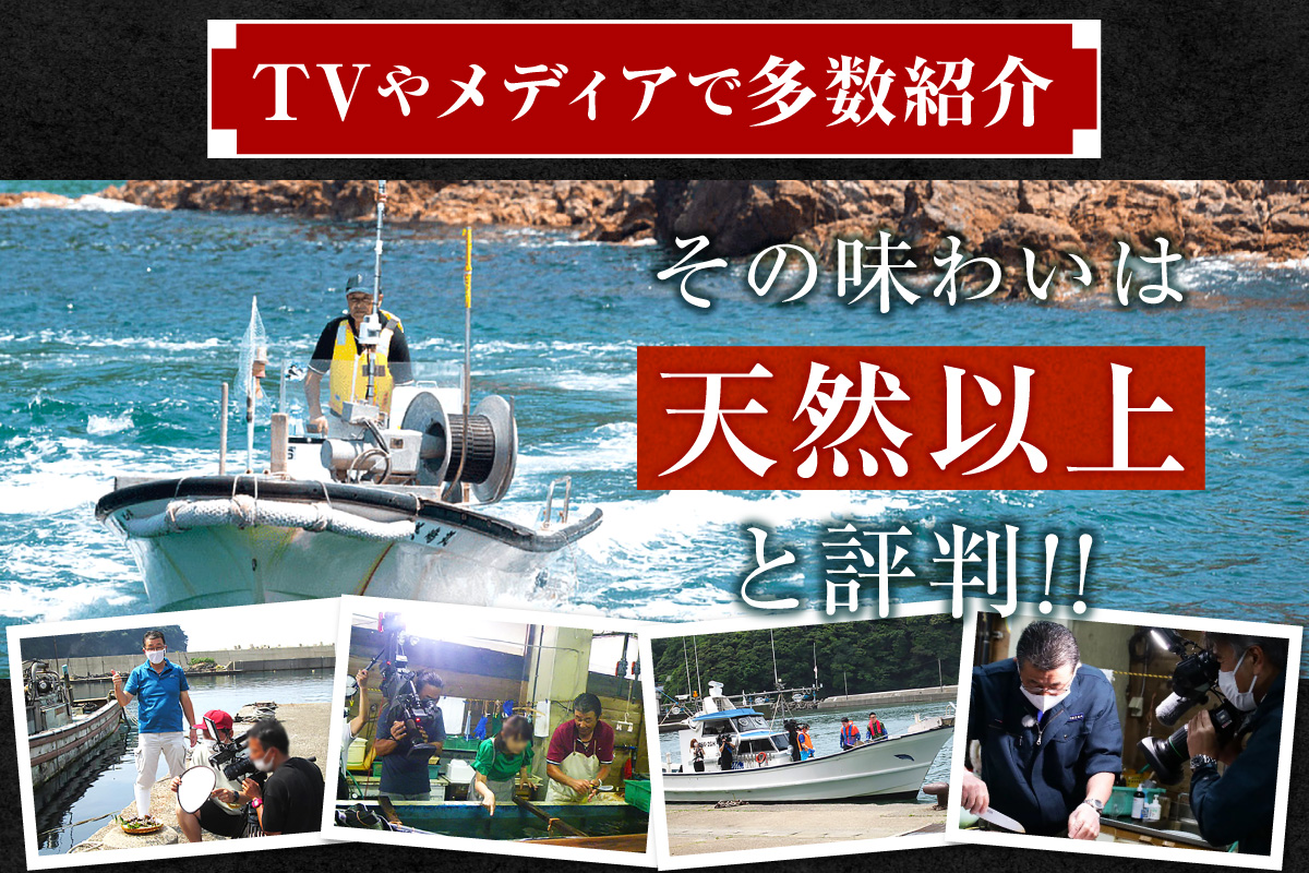 《12/21まで年内発送》【冷蔵 活あわび 養殖 9.5cm×4枚 400g～480g (1個100～120g）】満点青空レストラン うまい！おせち2023に採用されました！アワビ 鮑 活アワビ あわび 海鮮貝 魚介 お刺身 BBQ バター焼き 新鮮 日本海 養殖 昆布 レシピ入り 人気 テレビ 紹介 話題 高級 香美町 香住 山陰 美嶋 20-03 ☆