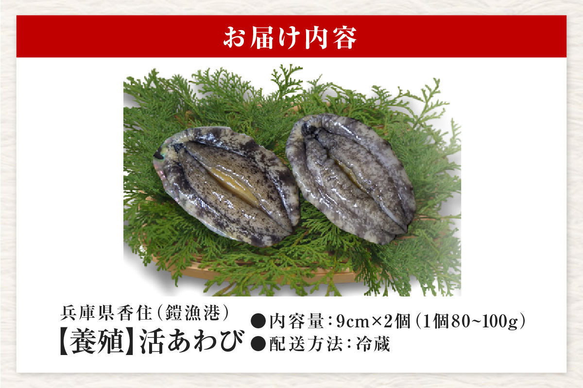 縲仙キ阡オ 豢サ縺ゅo縺ウ 鬢頑ョ 9cmテ2譫 160ス200g (1蛟80ス100gシ峨第コ轤ケ髱堤ゥコ繝ャ繧ケ繝医Λ繝ウ 縺縺セ縺シ√♀縺帙■2023縺ォ謗。逕ィ縺輔l縺セ縺励◆シ√い繝ッ繝 魄 豢サ繧「繝ッ繝 縺ゅo縺ウ 豬キ魄ョ雋 鬲壻サ 縺雁絢霄ォ BBQ 繝舌ち繝シ辟シ縺 譁ー魄ョ 譌・譛ャ豬キ 鬢頑ョ 譏蟶 繝ャ繧キ繝泌・繧 莠コ豌 繝繝ャ繝 邏ケ莉 隧ア鬘 鬮倡エ 鬥咏セ守伴 鬥吩ス 螻ア髯ー 鄒主カ倶クク 20-11