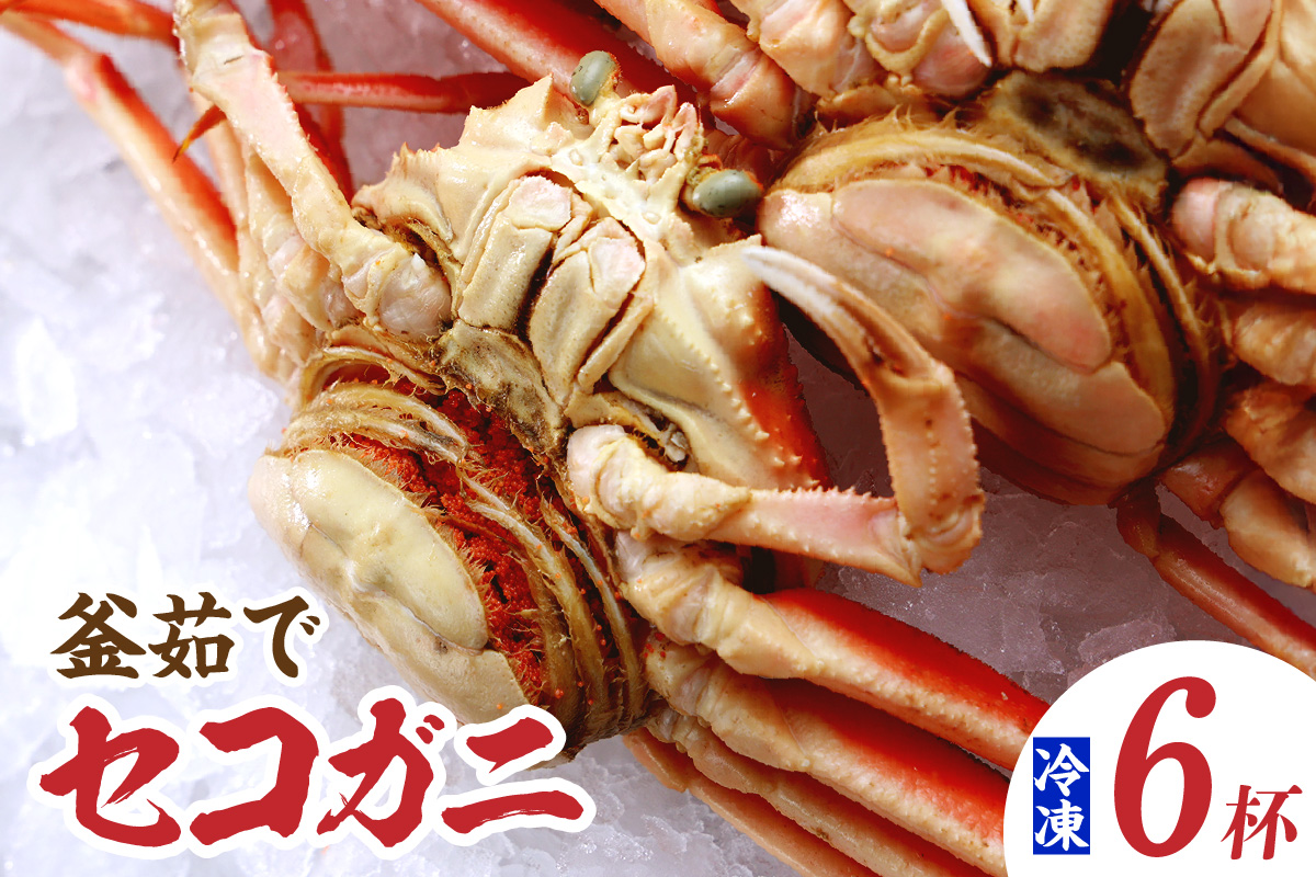 【セコガニ 約120g×6匹 釜茹で 冷凍】濃厚 かにミソ 内子 外子 産地直送 鮮度抜群 国産 カニ かに 蟹 松葉がに せいこがに メスガニ 親ガニ ふるさと納税 おすすめ 返礼品 兵庫県 香美町 香住 日本海フーズ にしとも かに市場 07-08 ☆