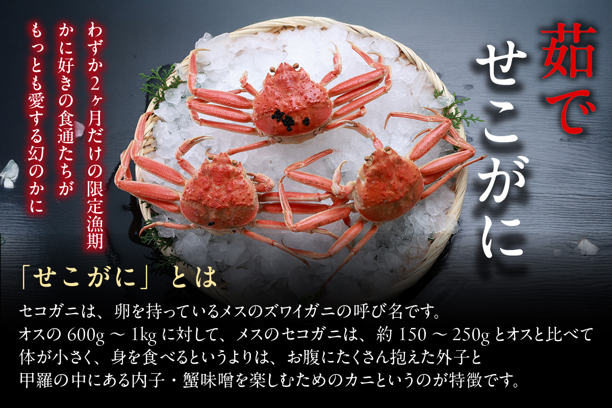 【セコガニ 約120g×6匹 釜茹で 冷凍】濃厚 かにミソ 内子 外子 産地直送 鮮度抜群 国産 カニ かに 蟹 松葉がに せいこがに メスガニ 親ガニ ふるさと納税 おすすめ 返礼品 兵庫県 香美町 香住 日本海フーズ にしとも かに市場 07-08 ☆