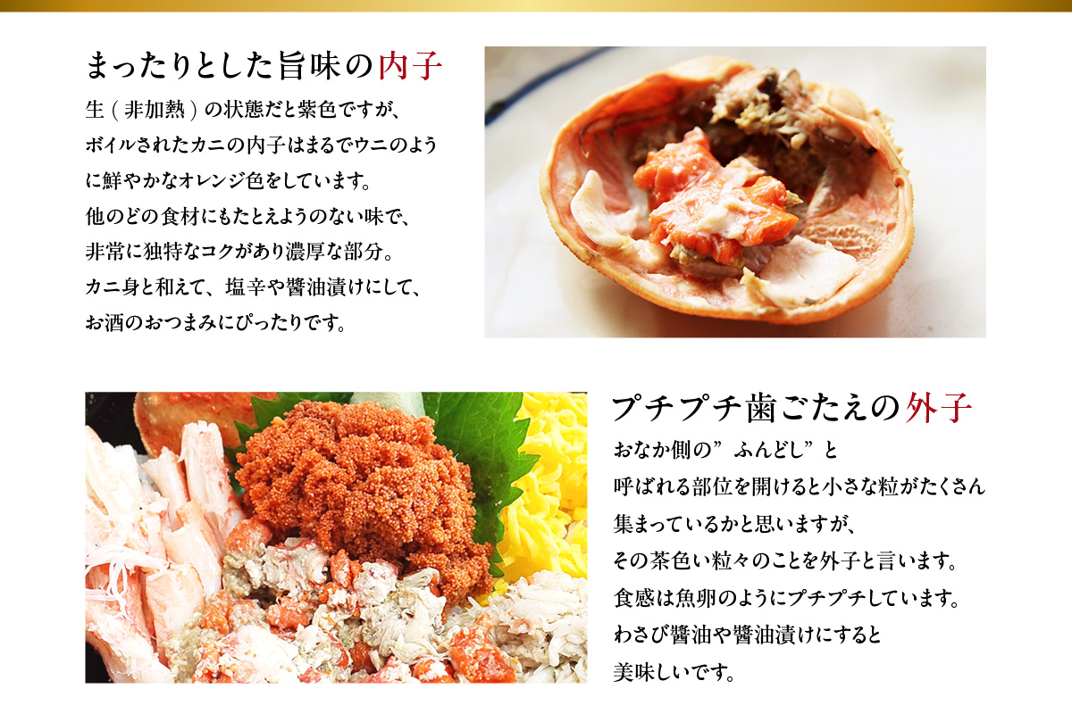 【セコガニ 約120g×6匹 釜茹で 冷凍】濃厚 かにミソ 内子 外子 産地直送 鮮度抜群 国産 カニ かに 蟹 松葉がに せいこがに メスガニ 親ガニ ふるさと納税 おすすめ 返礼品 兵庫県 香美町 香住 日本海フーズ にしとも かに市場 07-08 ☆