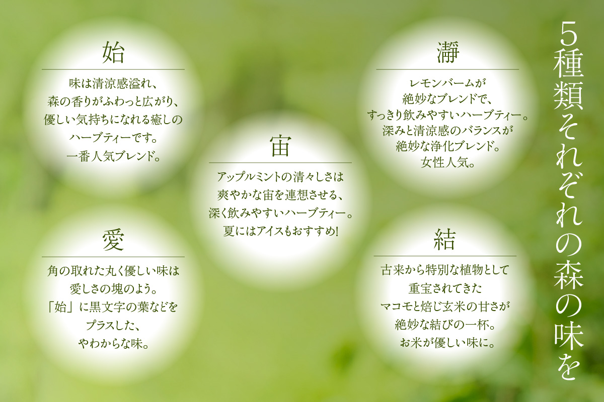 ãæ£®ææµŽè¶ ãã£ãŒãã㯠5çš®ã»ãããããŒããã£ãŒ ãã³ã«ãã§ã€ã³ ãã¬ã³ã ãè¶ çŽ
è¶ åœç£ é£²ã¿æ¯ã¹ ã¢ãœãŒã èªå®
çš èŽççš ã®ãã ãããã å
µåº«ç éŠçŸçº ANMEI / æ£®ææµŽè¶ 89-01