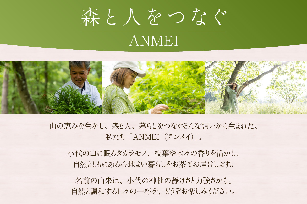 ãæ£®ææµŽè¶ ãã£ãŒãã㯠5çš®ã»ãããããŒããã£ãŒ ãã³ã«ãã§ã€ã³ ãã¬ã³ã ãè¶ çŽ
è¶ åœç£ é£²ã¿æ¯ã¹ ã¢ãœãŒã èªå®
çš èŽççš ã®ãã ãããã å
µåº«ç éŠçŸçº ANMEI / æ£®ææµŽè¶ 89-01