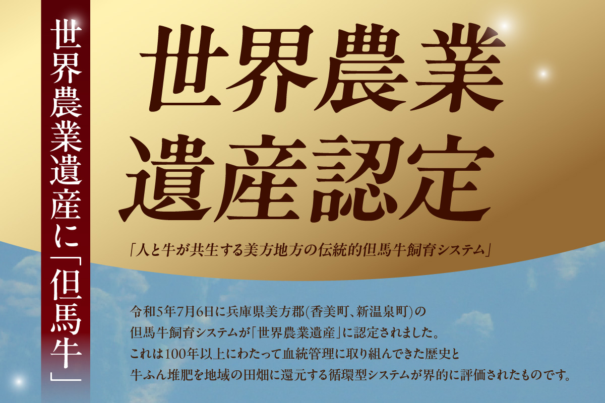 《12/21まで年内発送》【但馬牛 切り落とし500g】冷凍 配送日指定不可 黒毛和牛 ルーツ 但馬牛 神戸牛 仙台牛 飛騨牛 ルーツ牛 牛肉 ステーキ しゃぶしゃぶ すき焼き 焼肉 産地直送 大人気 ふるさと納税 返礼品 おすすめ ランキング 但馬 神戸 兵庫県 香美町 村岡 牛将 村岡ファームガーデン 10000円 TJM 02-02