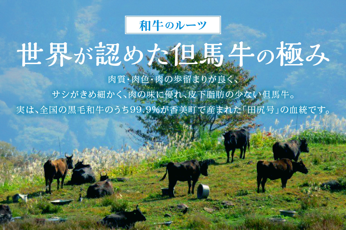 ãäœéЬç çµç£ç ãµãŒãã€ã³ã¹ããŒã 180gÃ2 åèš360gãå·å é
鿥æå®äžå¯ 黿¯åç ã«ãŒã äœéЬç ç¥æžç ä»å°ç é£éššç ã«ãŒãç çè ã¹ããŒã ããã¶ããã¶ ããçŒã çŒè ç£å°çŽé å€§äººæ° ãµãããšçŽçš è¿ç€Œå ãããã ã©ã³ãã³ã° äœéЬ ç¥æž å
µåº«ç éŠçŸçº æå²¡ çå° æå²¡ãã¡ãŒã ã¬ãŒãã³ 29000å TJM 02-03