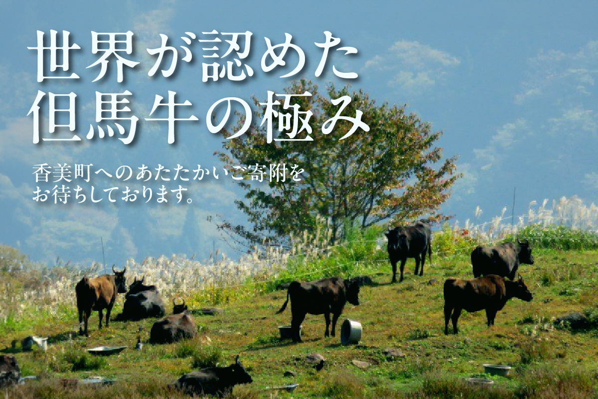 《12/21まで年内発送》【但馬牛 切り落とし500g】冷凍 配送日指定不可 黒毛和牛 ルーツ 但馬牛 神戸牛 仙台牛 飛騨牛 ルーツ牛 牛肉 ステーキ しゃぶしゃぶ すき焼き 焼肉 産地直送 大人気 ふるさと納税 返礼品 おすすめ ランキング 但馬 神戸 兵庫県 香美町 村岡 牛将 村岡ファームガーデン 10000円 TJM 02-02