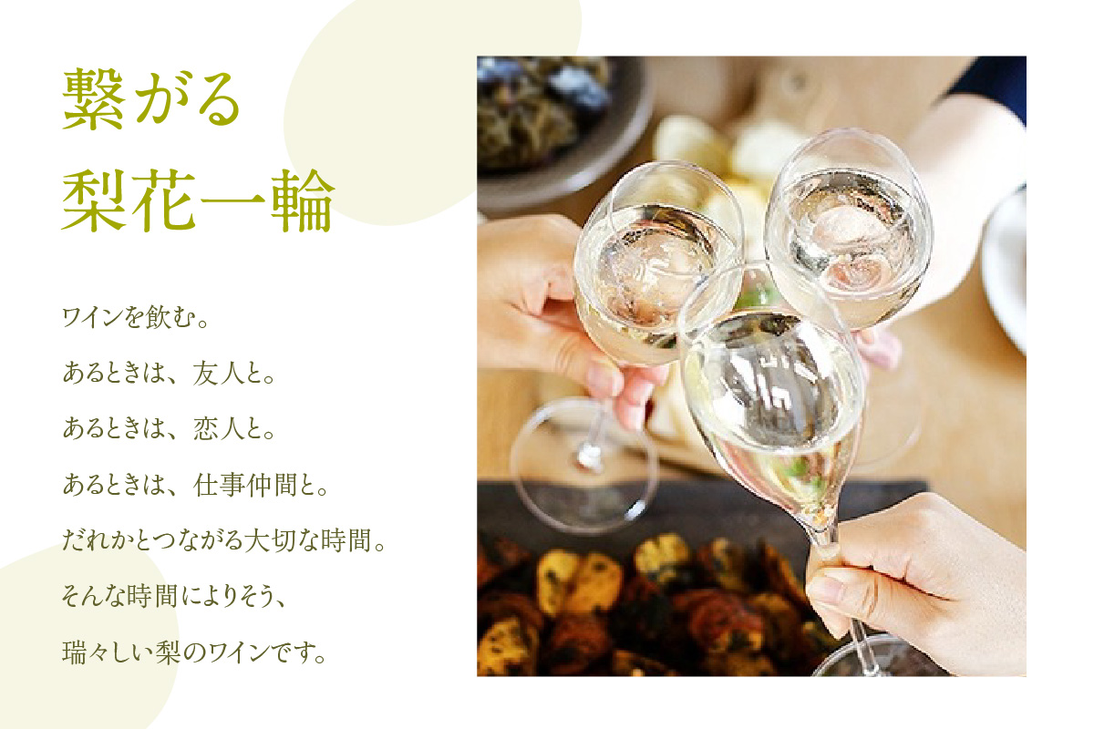 【梨のワインセット 梨花一輪360ml×1本 梨のスパ－クリングワイン360ml×1本】常温 梨花一輪 二十世紀梨 和梨 甘口 スパークリング 日本 ワイン お酒 洋酒 飲み比べ 母の日 父の日 記念日 贈答 ギフト おすすめ 香美町 香住 兵庫県 トキワ 15000円 16-24