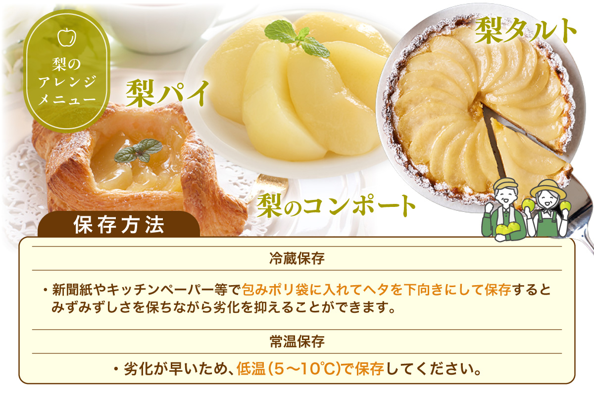 2026年産 先行予約【梨 20世紀梨 香住梨 5kg 大きめ（1玉350g～500gを10～14玉）】 8月下旬～9月中旬にかけて発送予定 二十世紀梨 大玉 シャキシャキ 甘味 瑞々しさ 香住梨 フルーツ フルーツ先行予約 果物 贈答品 ギフト なし ナシ 和梨 青梨 大人気 おすすめ ランキング 兵庫県 香美町 香住 JAたじま 16000円 12-05