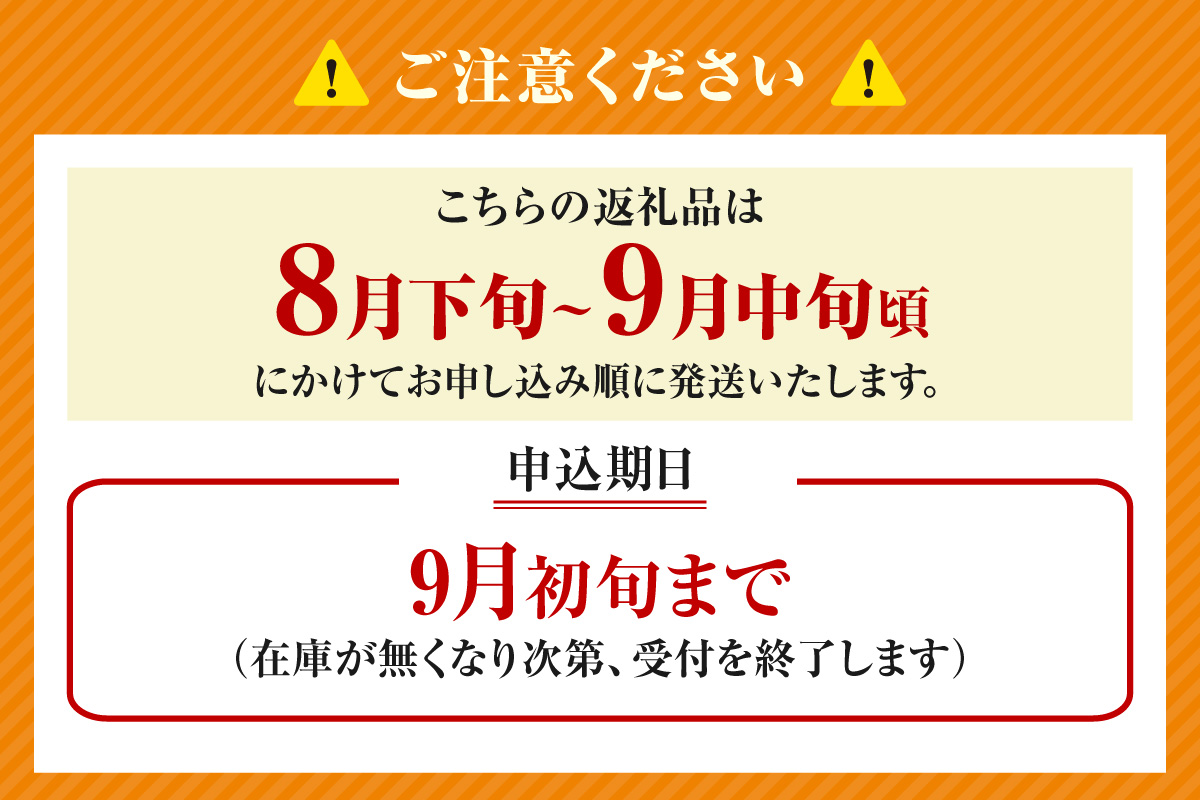 2026年産 先行予約【梨 20世紀梨 香住梨 5kg 大きめ（1玉350g～500gを10～14玉）】 8月下旬～9月中旬にかけて発送予定 二十世紀梨 大玉 シャキシャキ 甘味 瑞々しさ 香住梨 フルーツ フルーツ先行予約 果物 贈答品 ギフト なし ナシ 和梨 青梨 大人気 おすすめ ランキング 兵庫県 香美町 香住 JAたじま 16000円 12-05