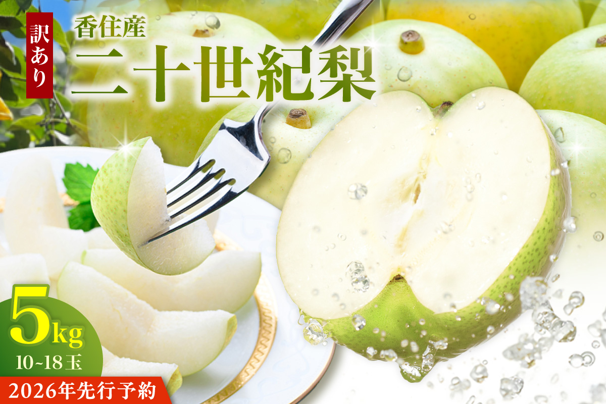 2026年産 先行予約【梨 訳あり 20世紀梨 5kg（10～18玉）】生産者応援商品！【令和8年9月上旬以降発送予定】ご自宅用 ジャム 加工用 傷あり 不揃い 訳あり 二十世紀梨 兵庫県  香美町 香住梨 フルーツ フルーツ先行予約 ナシ 青梨 和梨 JAたじま 12-23