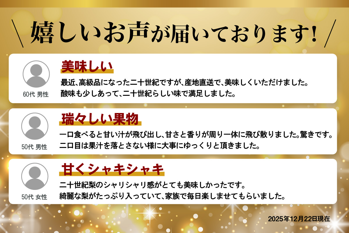 2026年産 先行予約【梨 20世紀梨 香住梨 5kg 大きめ（1玉350g～500gを10～14玉）】 8月下旬～9月中旬にかけて発送予定 二十世紀梨 大玉 シャキシャキ 甘味 瑞々しさ 香住梨 フルーツ フルーツ先行予約 果物 贈答品 ギフト なし ナシ 和梨 青梨 大人気 おすすめ ランキング 兵庫県 香美町 香住 JAたじま 16000円 12-05