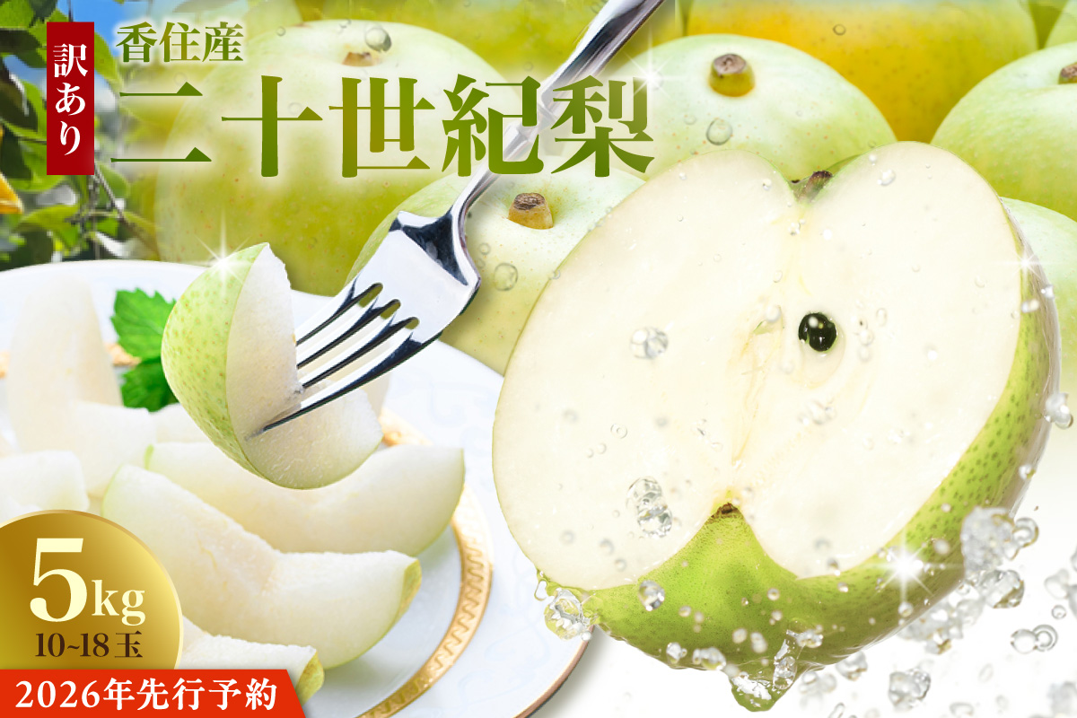 2026年産 先行予約【梨 訳あり 20世紀梨 5kg（10～18玉）】生産者応援商品！ 9月上旬～下旬にかけて発送予定 数量限定 ご家庭用 ジャム 加工用 傷あり 不揃い 訳あり 二十世紀梨 兵庫県  香美町 香住梨 フルーツ フルーツ先行予約 ナシ 青梨 和梨 JAたじま 10000円 12-23