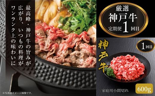 【神戸牛 定期便 平山牛舗の厳選神戸牛 月1回発送 全6回 冷凍 産地直送】細切れ600g 焼肉バラ(カルビ)350g すき焼き500g 赤身ステーキ150g×2 切り落とし1kg 特上ロースすき焼き400g 牛肉 KOBE BEEF 神戸牛 松阪牛 近江牛 三大銘牛 ふるさと納税 おすすめ 返礼品 但馬 神戸 美方 小代 兵庫県 香美町 平山牛舗 KBB 61-14