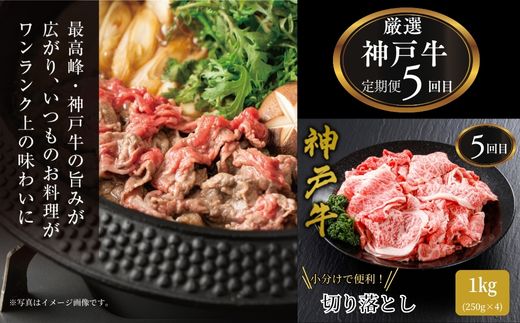 【神戸牛 定期便 平山牛舗の厳選神戸牛 月1回発送 全6回 冷凍 産地直送】細切れ600g 焼肉バラ(カルビ)350g すき焼き500g 赤身ステーキ150g×2 切り落とし1kg 特上ロースすき焼き400g 牛肉 KOBE BEEF 神戸牛 松阪牛 近江牛 三大銘牛 ふるさと納税 おすすめ 返礼品 但馬 神戸 美方 小代 兵庫県 香美町 平山牛舗 KBB 61-14