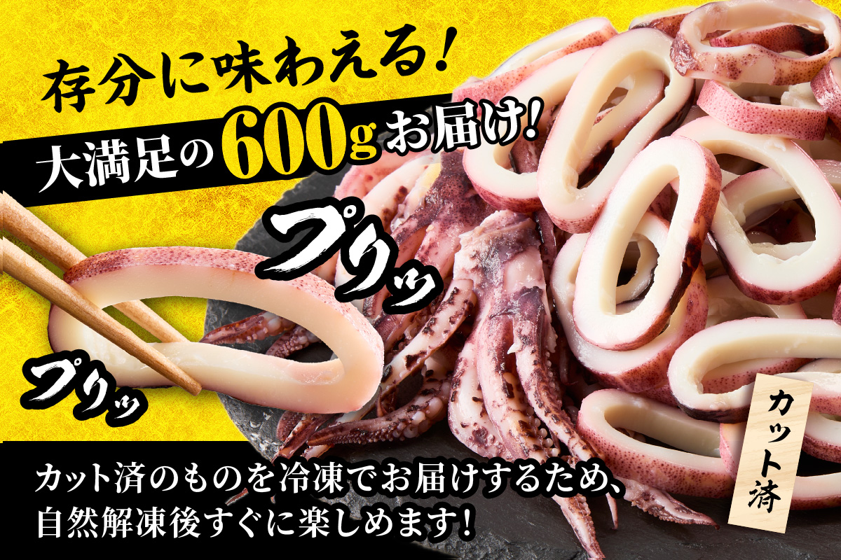 【蒸しイカリング カラシ酢味噌付き 約100g×6P 合計約600g】冷凍 イカリング イカ 烏賊 いか げそ ゲソ 魚介 フライ 揚げ物 パエリア パスタ お手軽 カレー カルパッチョ サラダ 海鮮 ボイル シーフードミックス バーベキュー 焼肉 鉄板焼き BBQ キャンプ ふるさと納税 おすすめ 返礼品 人気 国産 兵庫県 香美町 香住 モリタ食品 9000円 モリタ食品 10-23