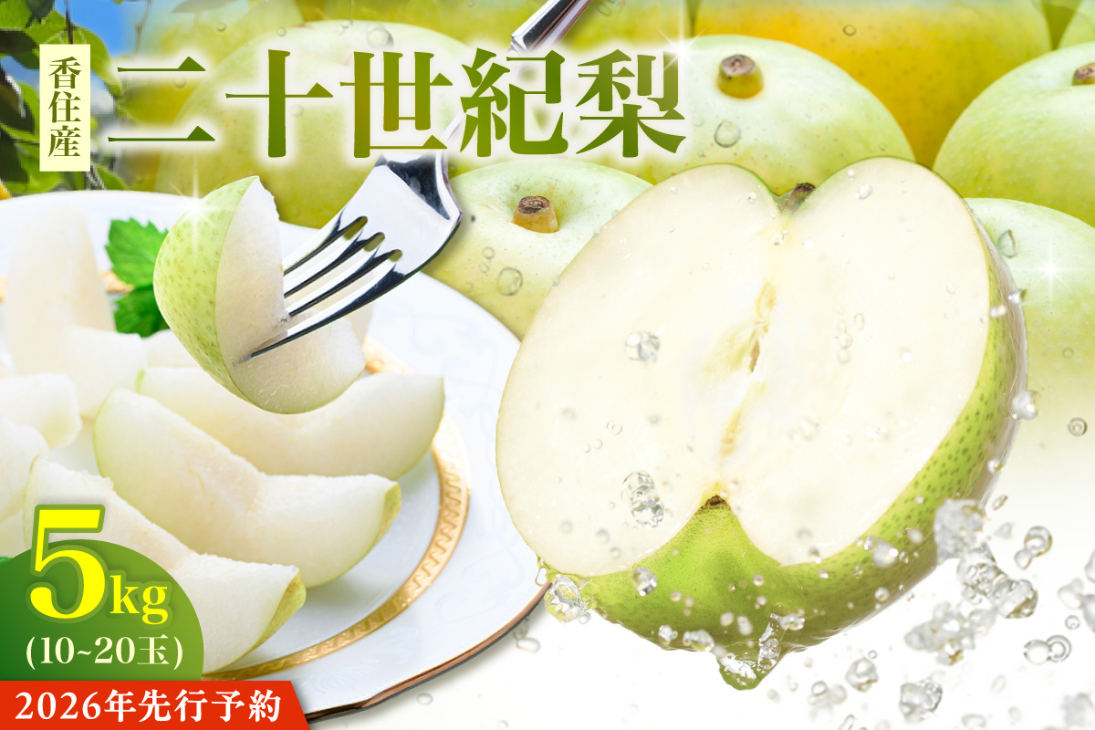 【2026年産 先行予約】【梨 二十世紀梨 約5kg 10～20玉 1玉250～500g】【令和8年8月下旬以降発送予定】 梨 20世紀梨 香住梨 シャキシャキ 甘味 瑞々しさ 香住梨 フルーツ 果物 贈答品 ギフト なし ナシ 和梨 青梨 大人気 おすすめ ランキング 兵庫県 香美町 香住 JAたじま 12-25