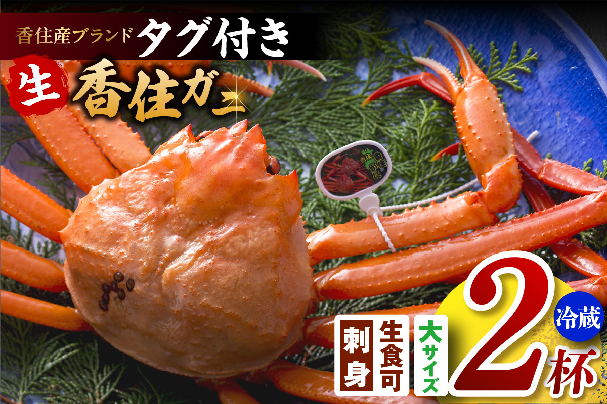 【香住ガニ（生）大 タグ付き 約800g×2枚 冷蔵】【令和8年11月以降発送予定】カニ 甘み 強い かに カニ 蟹 香住がに 紅ずわいがに ベニズワイガニ 脚 爪 身 ほぐし むき身 かにすき 鍋 大人気 ふるさと納税 おすすめ 兵庫 香美 香住 但馬漁業 遊魚館 03-07