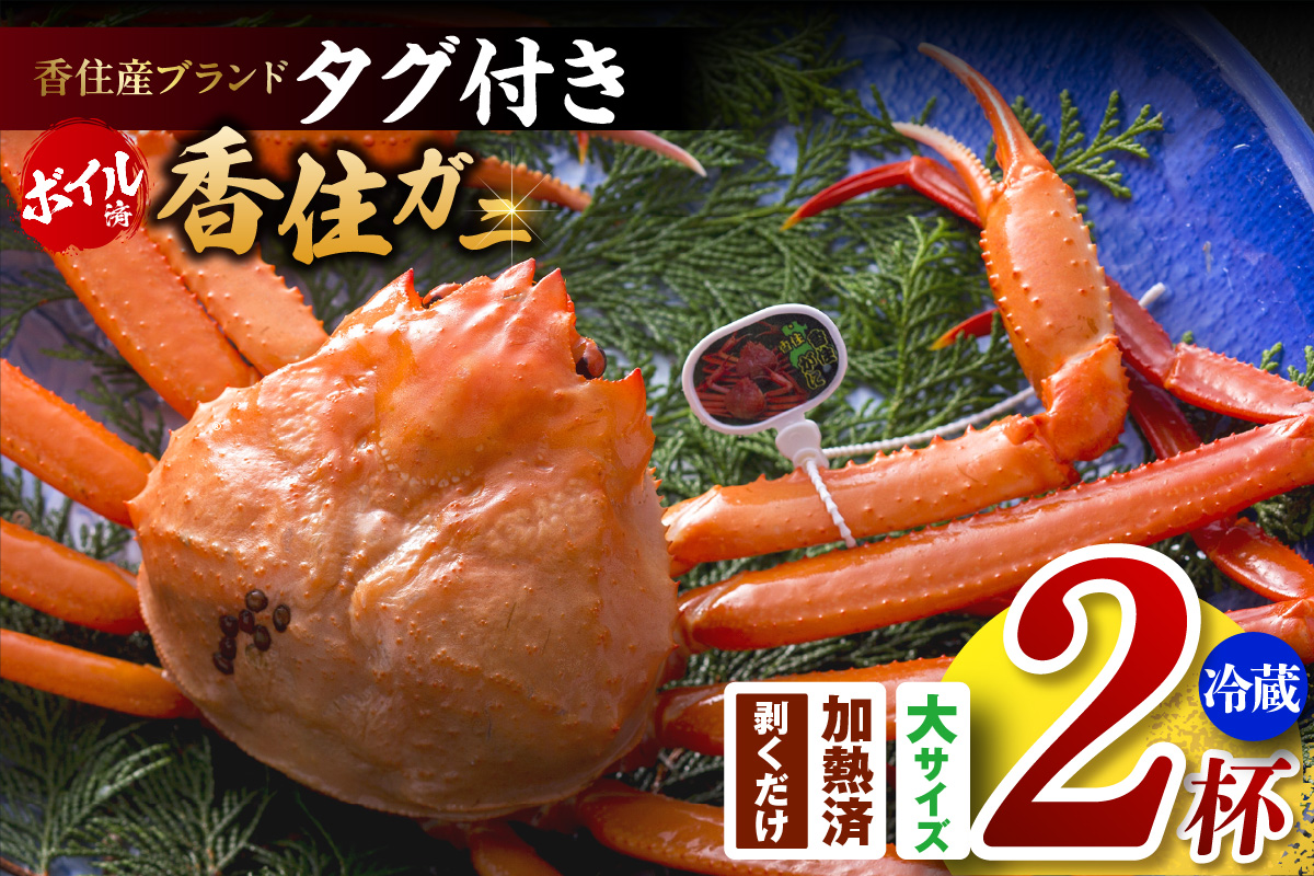 【香住ガニ（ボイル）大 タグ付き 約800g×2枚 冷蔵】【令和8年11月以降発送予定】カニ 甘み 強い かに カニ 蟹 香住がに 紅ずわいがに ベニズワイガニ 脚 爪 身 ほぐし むき身 かにすき 鍋 大人気 ふるさと納税 おすすめ 兵庫 香美 香住 但馬漁業 遊魚館 03-08
