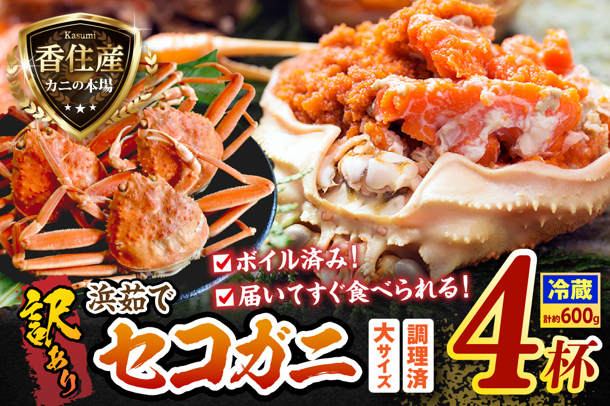 訳あり 浜茹で セコガニ 香住産 大サイズ 4杯入り 冷蔵【令和8年11月中旬以降発送予定】香住 濃厚 ミソ やみつき 内子 外子 絶品 訳あり 指落ち 大人気  濃厚 香美町 柴山 山陰 日本海 国産 カニ ズワイガニ 松葉ガニ せいこがに メスガニ  爪 ほぐし ボイル 脚 鮮度抜群 茹で ボイル 蟹 かに カニ お取り寄せ ごちそう グルメ 贅沢 ご褒美  返礼品 丸近 19-10