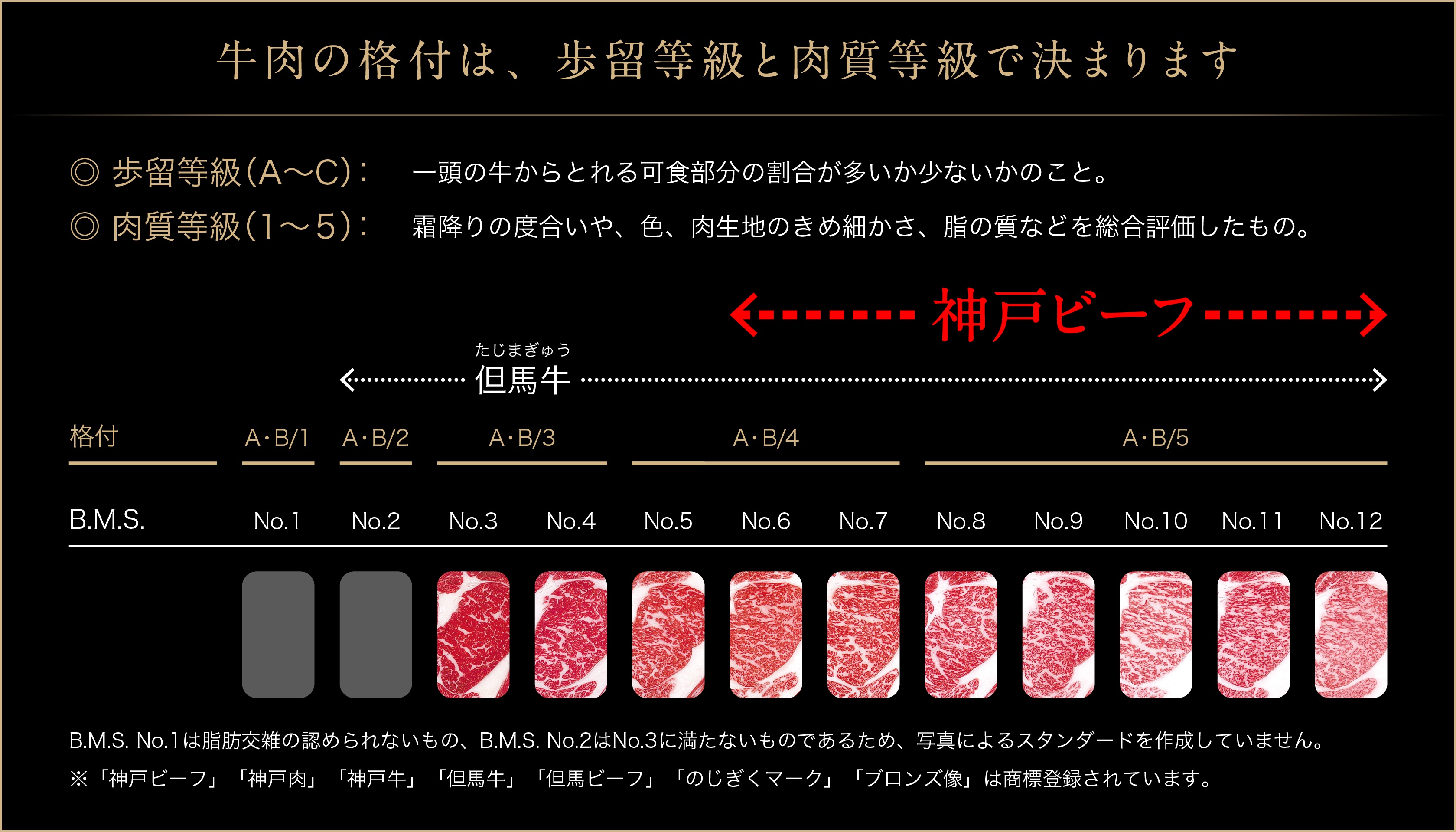 神戸牛 お試し用 焼肉セット 400g（赤身焼肉200g、バラ焼肉200g） 67-03