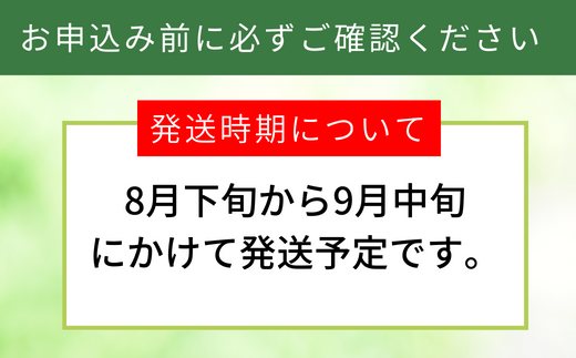 【先行予約】【梨 20世紀梨 香住梨 5kg 小さめ（1玉250g～300gを16～20玉）】大人気 ふるさと納税 おすすめ 返礼品 ランキング 二十世紀梨 シャキシャキの食感 ほどよい甘さとみずみずしさ 日本海に面する梨の本場 兵庫県香美町で育つ「香住梨」 一つひとつの糖度を計測 兵庫県 香美町 香住 フルーツ ナシ 贈答品 ギフト 青梨 和梨 国産 JAたじま 16000円 12-09