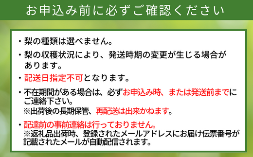 【先行予約】【 晩生梨（新興梨 王秋梨 愛宕梨）4kg 大きめサイズ（1玉450g〜700gを4〜9玉）】10月中旬から12月下旬にかけて発送 香住産 フルーツ 梨の一大産地香住からお届け 新興梨･王秋梨･愛宕梨のいずれかを時期によってお届け 甘味の中に適度に酸味 絶妙な美味しさ 味と品質へのこだわり 大人気 ふるさと納税 香美町 香住 果物 フルーツ ナシ 贈答 晩生 JAたじま 12-06