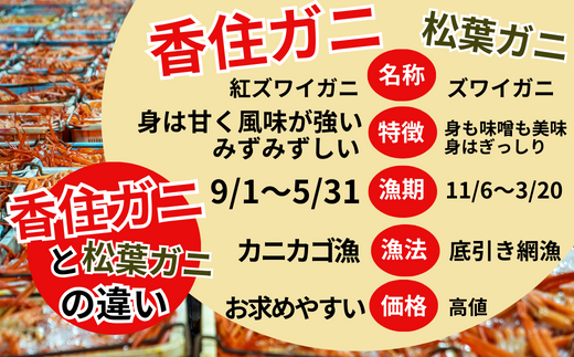 【釜茹で香住ガニ 2～3杯 (1.6～1.8kg分) カニホタル (170g×3パック) 冷凍】 香住がに 紅ずわいがに 紅ズワイガニ カニ かに 蟹 ボイル ほたるいか ホタルイカ いか イカ 30000円 兵庫県 香美町 香住 今西食品 49-07