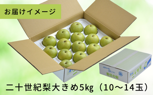 【先行予約】【梨 20世紀梨 香住梨 5kg 大きめ（1玉350g～500gを10～14玉）】大人気 ふるさと納税 おすすめ 返礼品 ランキング 二十世紀梨 シャキシャキの食感 ほどよい甘さとみずみずしさ 日本海に面する梨の本場 兵庫県香美町で育つ「香住梨」 一つひとつの糖度を計測 兵庫県 香美町 香住 フルーツ ナシ 贈答品 ギフト 青梨 和梨 国産 JAたじま 16000円 12-05