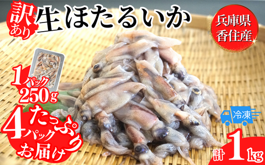 【先行予約】【訳あり ほたるいか 小分け 250g×4パック 1kg 香住産 冷凍】R7.2月下旬から3月末に順次発送予定 刺身でも食べられる美味しいホタルイカ兵庫県はホタルイカ水揚げ日本一！ ホタルイカ いか 生ほたるいか 便利 兵庫県 香住 日本海 珍味 海鮮 刺し身 生食 しゃぶしゃぶ  グルメ ギフト ふるさと納税 8000 8000円 以下 日本海フーズ にしとも かに市場 07-95