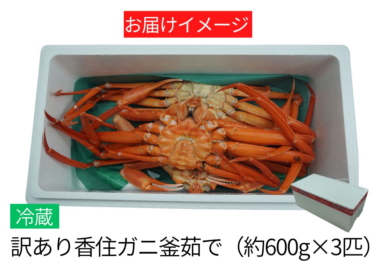 【訳あり 香住ガニ 釜茹で 大きめ 約600g×3匹（約1.8kg以上）冷蔵】 07-14