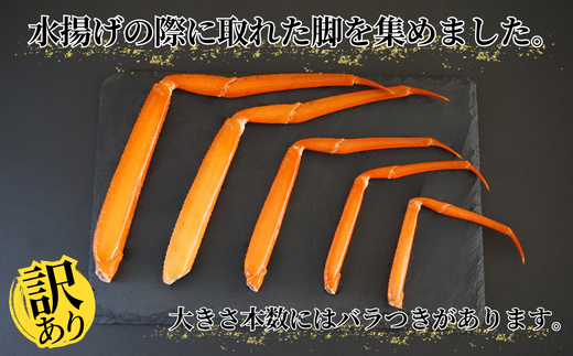 【訳あり 茹で香住ガニ 脚のみ 約1㎏ 冷凍】【先行予約】令和7年2月以降発送予定 数量限定 甘みが強い 香住カニ 兵庫県 香美町 香住 かに 海鮮 ベニズワイガニ 足 爪 日本海フーズ 07-118