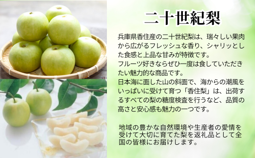 【先行予約】【梨 20世紀梨 香住梨 5kg 小さめ（1玉250g～300gを16～20玉）】大人気 ふるさと納税 おすすめ 返礼品 ランキング 二十世紀梨 シャキシャキの食感 ほどよい甘さとみずみずしさ 日本海に面する梨の本場 兵庫県香美町で育つ「香住梨」 一つひとつの糖度を計測 兵庫県 香美町 香住 フルーツ ナシ 贈答品 ギフト 青梨 和梨 国産 JAたじま 16000円 12-09