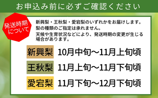 【先行予約】【 晩生梨（新興梨 王秋梨 愛宕梨）4kg 小さめサイズ（1玉350g〜420gを10〜12玉）】10月中旬から12月下旬にかけて発送 香住産 フルーツ 梨の一大産地香住からお届け 新興梨･王秋梨･愛宕梨のいずれかを時期によってお届け 甘味の中に適度に酸味 絶妙な美味しさ 味と品質へのこだわり 大人気 ふるさと納税 香美町 香住 果物 フルーツ ナシ 贈答 晩生 JAたじま 12-07