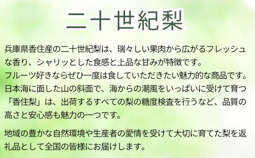 【先行予約】【20世紀梨 ご自宅用 5kg（10～18玉）】サイズバラつき有り（L～5L）傷あり 不揃い ご自宅用 大人気 二十世紀梨 果肉はしっかり シャキシャキの食感 ほどよい甘さとみずみずしさ 日本海に面する梨の本場 兵庫県香美町で育つ「香住梨」糖度を計測して出荷 兵庫県 香美町 フルーツ ナシ 青梨 和梨 ふるさと納税 JAたじま 12000円 12-20