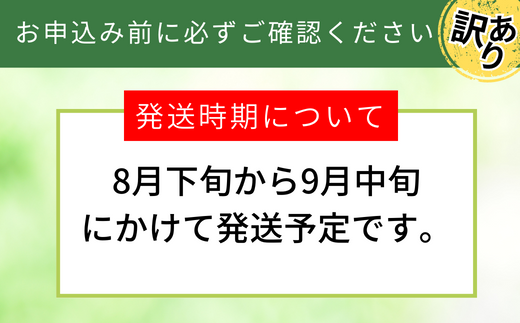 【先行予約】【20世紀梨 ご自宅用 5kg（10～18玉）】サイズバラつき有り（L～5L）傷あり 不揃い ご自宅用 大人気 二十世紀梨 果肉はしっかり シャキシャキの食感 ほどよい甘さとみずみずしさ 日本海に面する梨の本場 兵庫県香美町で育つ「香住梨」糖度を計測して出荷 兵庫県 香美町 フルーツ ナシ 青梨 和梨 ふるさと納税 JAたじま 12000円 12-20