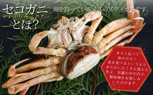 【先行予約】【セコガニ 約120g×6匹 釜茹で 冷凍】R6.11月中旬以降順次発送 濃厚なかにミソとやみつきになる内子、外子が絶品 数量限定 産地直送 鮮度抜群 絶妙の塩加減での茹で上げ 大人気 ふるさと納税 香美町 香住 カニ 松葉ガニ せいこがに メスガニ 親ガニ 日本海フーズ にしとも かに市場 16000円 07-08